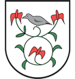 Gmina Serokomla